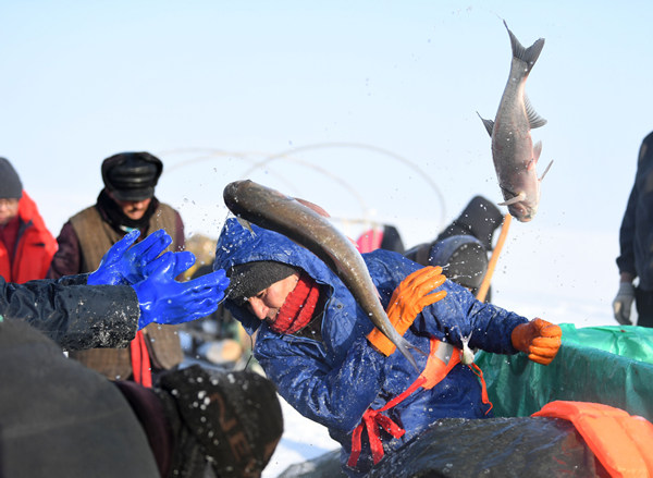 Winter fishing in Xinjiang