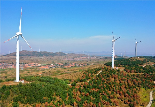 China's renewable energy generation maintains growth in 2020