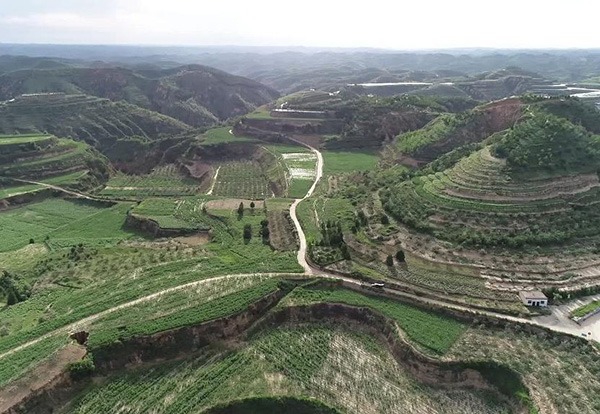Ecological conservation helps village in China's Shaanxi rise above poverty line:0